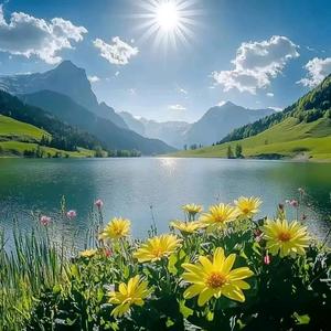 🌹京月韩妆🌹头像