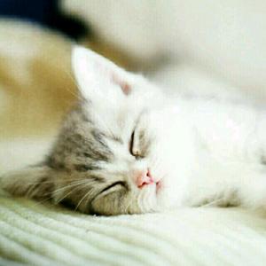 微甜不加冰头像