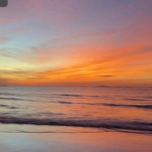 天气是冰冰的头像