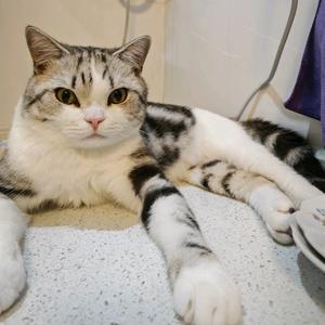 风迹梦痕无名头像