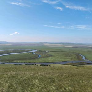 想买蒙迪欧的途昂车主头像