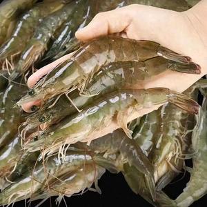 蒙自卖活虾的小张头像