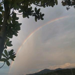 🌈好运常在头像