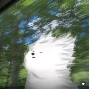 宋池鑫泉汽修头像