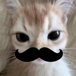 全都寿司⁸.头像