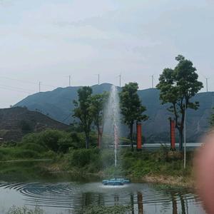 野蛮的霸王龙🦖头像