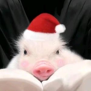 武则天当寡妇她闺蜜头像