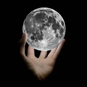 准备消失了头像