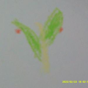 勇气大爆发头像