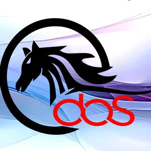 别为往事忧'头像