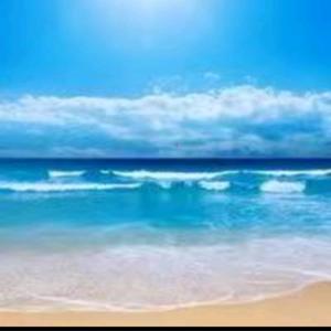 笑看红尘yt头像