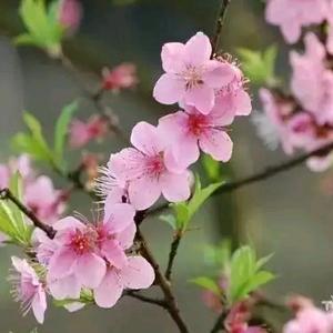 笑看人生🙂头像