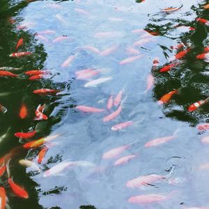 用户1699357302529头像