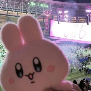 东篱的冻梨头像