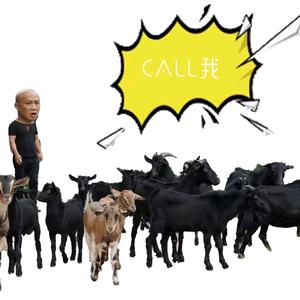 桃根生态农场头像