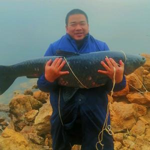 游钓云南涂料厂头像