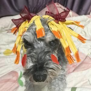 补番小阿姨头像