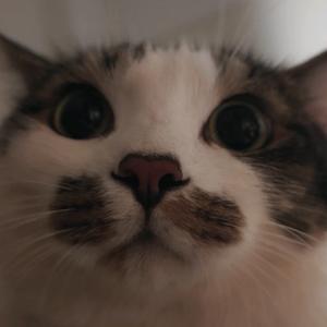 我和我的五个室友头像