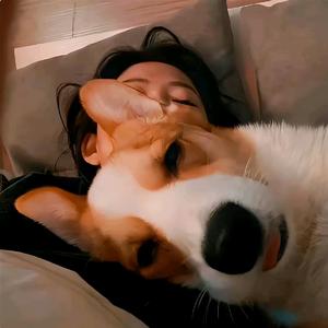 维克的加菲🐱头像