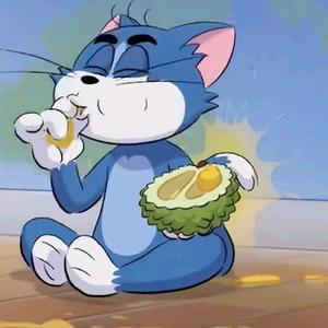 虫虫231557826头像