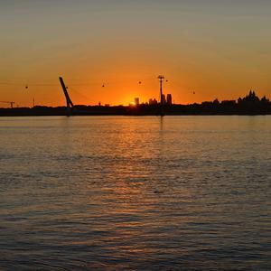 爱刘小啦520头像