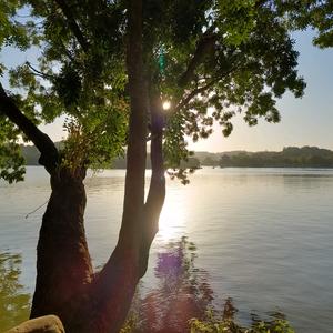 傻傻的世界傻傻的我头像