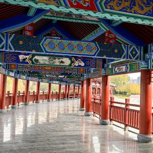 钓鱼要到岛上钓头像