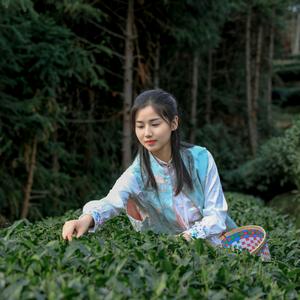 白茶不白说头像