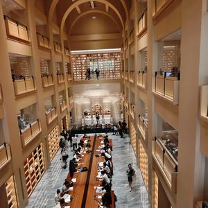 想小蔚大人头像