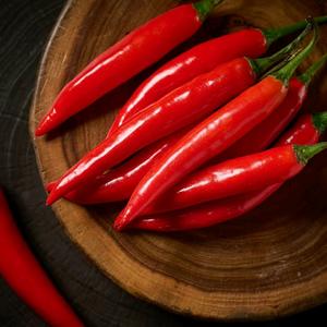 芥末与山葵头像