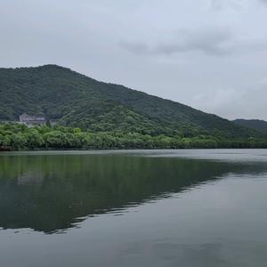 南京九六科技头像