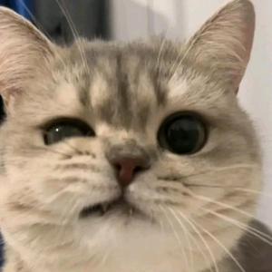 起咯啦G୧⍤⃝🍀头像