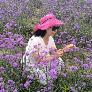 幽幽兰花草头像