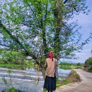 蒲公英手机用户60571595525头像