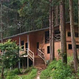 韶关小坑南粤森林人家头像