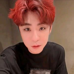 胸口的燕子何时见头像