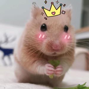 小林子是妹妹头像