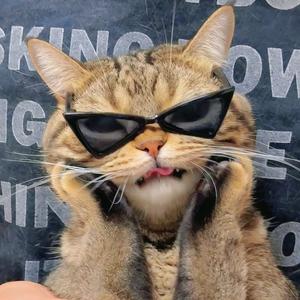 000(减脂版）头像