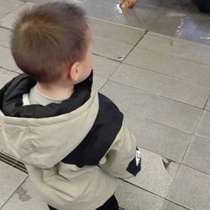 莓烦恼(◍•ᴗ•◍)❤头像