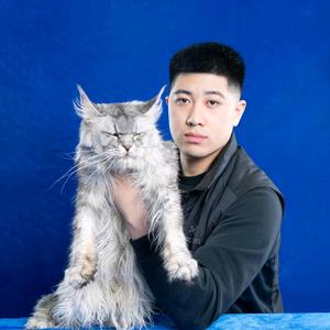 李老板的缅因猫头像