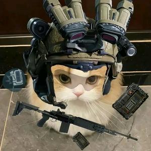 麻辣小龙虾头像