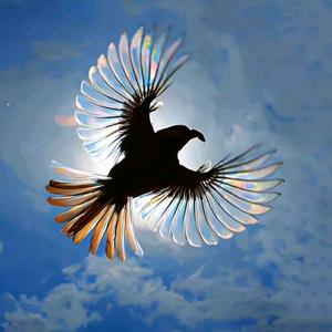 背影是真的头像