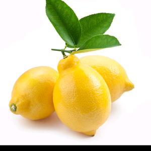 柠檬🍋🍋夏天头像