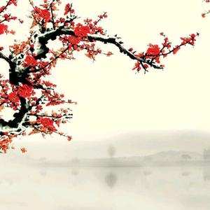 风雨 ☀阳光头像