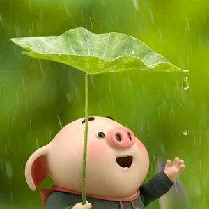 带刺的玫瑰头像