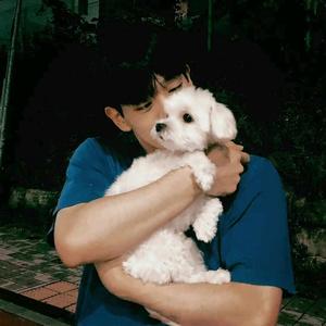 讨厌香菜😫头像