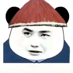 登途王大爷头像