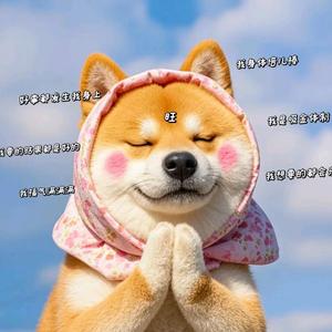 光明总在风雨后头像