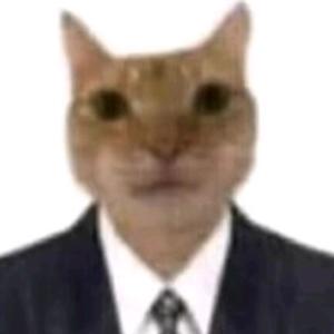 粥粥周周洲洲头像