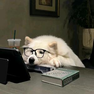 在昆明做财税的小王~头像